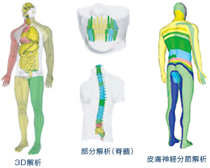 アムサット画像　見本